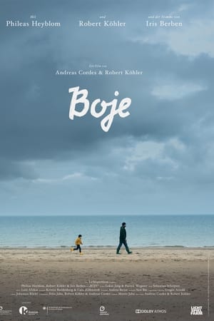 Boje