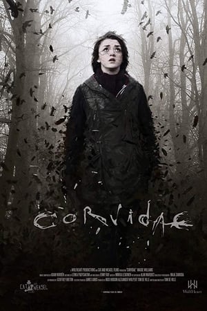 Corvidae