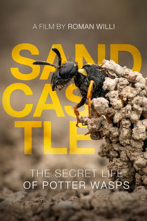 Sandcastle - The Secret Life Of Potter Wasps