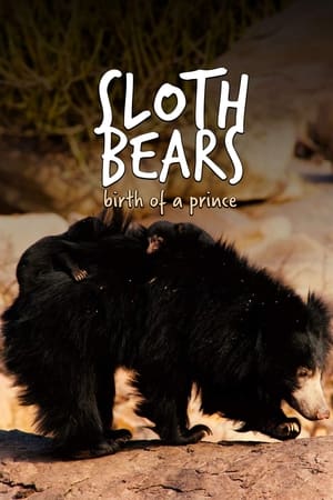 Sloth Bears: Birth of a Prince