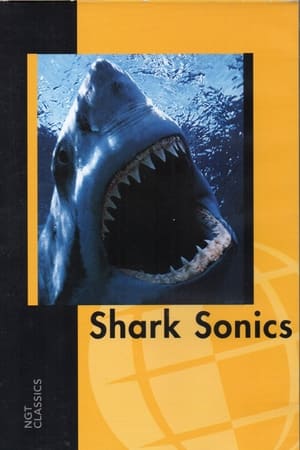 Shark Sonics