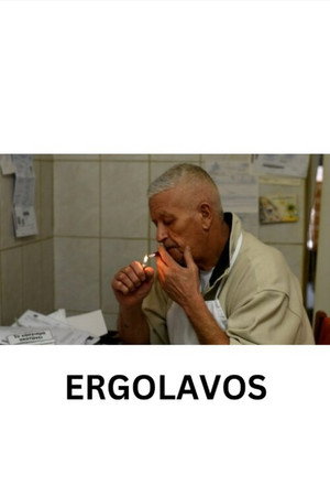 Εργολάβος