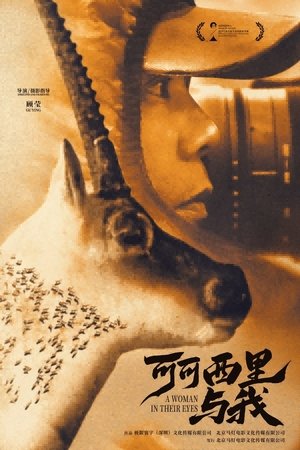 可可西里与我