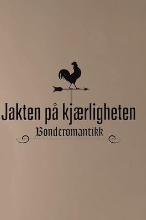 Jakten på kjærligheten