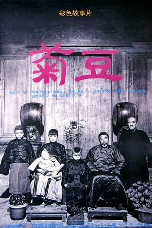 菊豆