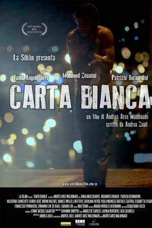 Carta bianca