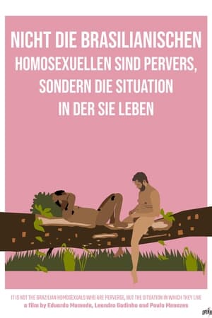 Nicht die brasilianischen Homosexuellen sind pervers, sondern die Situation, in der sie leben