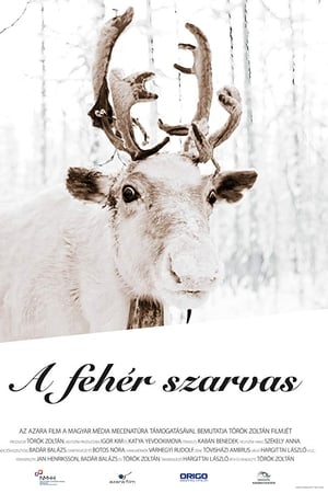 A fehér szarvas