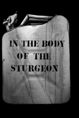 In the Body of the Sturgeon