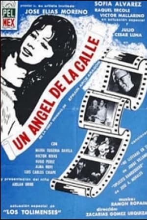 Un ángel de la calle