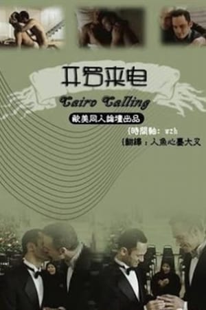 开罗来电