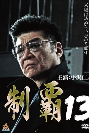 制覇１３