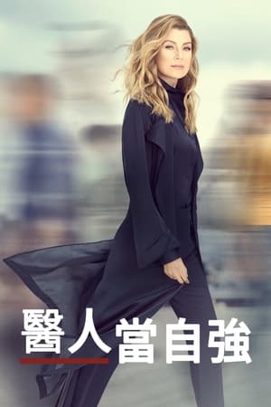 实习医生格蕾第 16 季