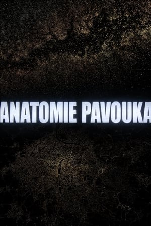 Anatomie Pavouka