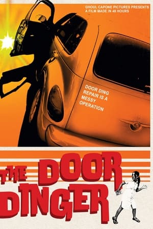 The Door Dinger