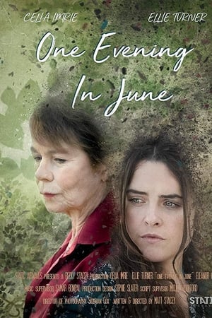 One Evening In June
