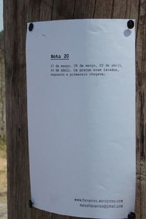 Notas Flanantes