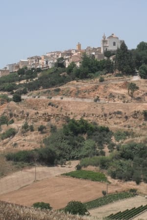 The Mayor of Montemilone