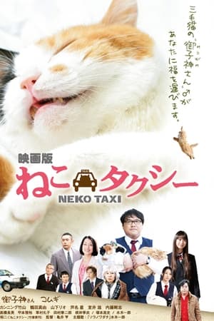 ねこタクシー