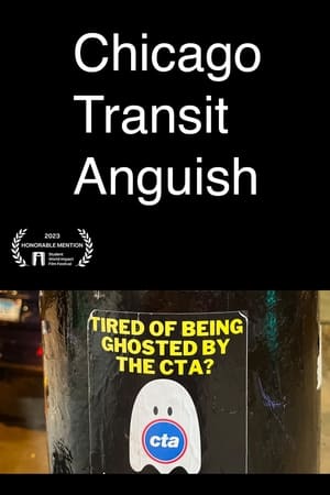 Chicago Transit Anguish