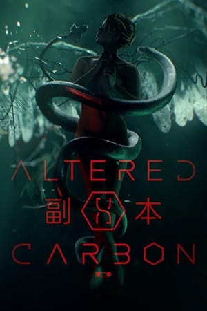 副本第 2 季