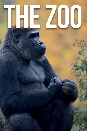 The Zoo第9季