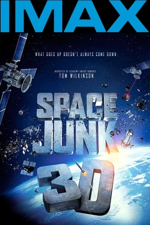 IMAX - 太空垃圾3D