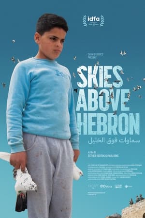 Skies Above Hebron