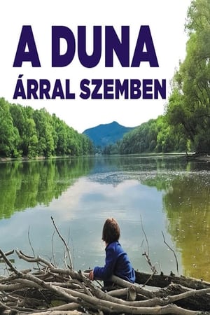 A Duna - Árral szemben