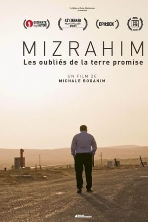 Mizrahim, Les Oubliés de la Terre Promise