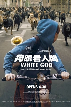 白色上帝