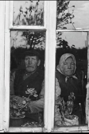 The Dreams of the Centenarians