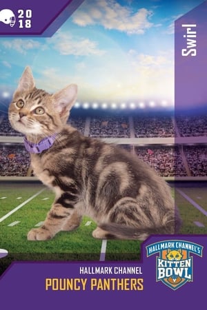 Kitten Bowl VIII Special