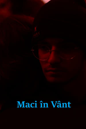 Maci în Vânt