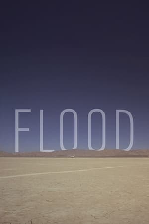Flood