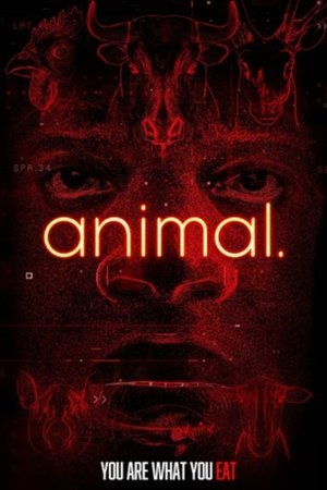 animal.