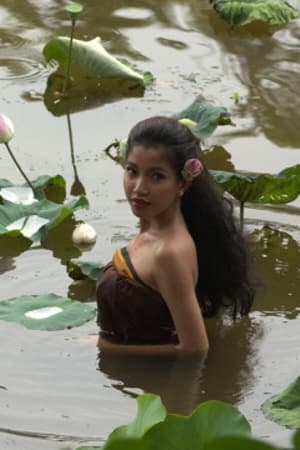 ដុំហ្វីលចុងក្រោយ