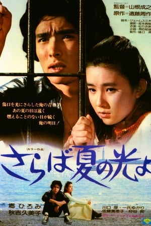 再见，夏日之光