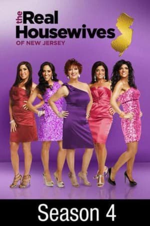 The Real Housewives of New Jersey第 4 季