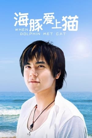 海豚爱上猫