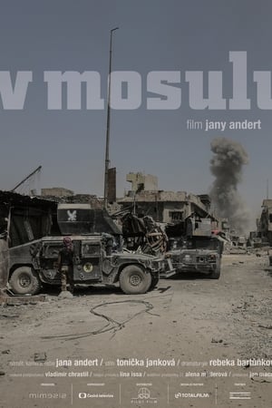 V Mosulu