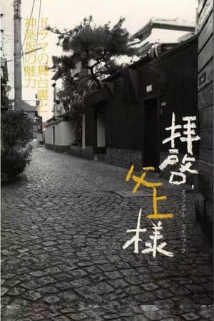 敬启，父亲大人