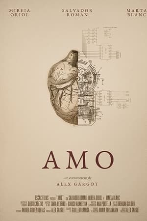 Amo