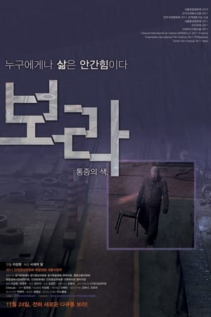 보라