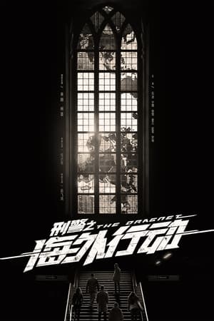 刑警之海外行动