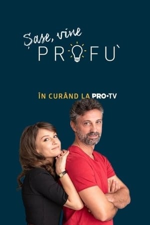 Profu'第2季