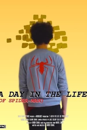 A Day In the Life (of Spider-Man)