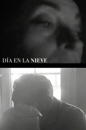Día en la nieve