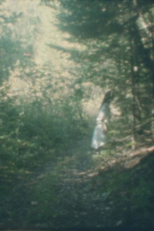 Femme forêt
