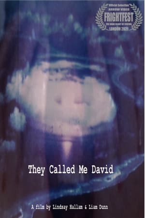 They Called Me David